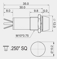 Oil Light / Switch Light 12v DC | LED