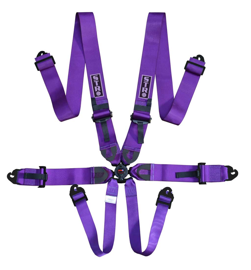 6-Point Race Harness 3&quot; Straps (2029) - Purple