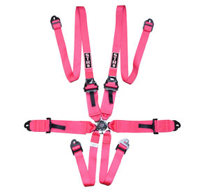 6-Point FHR Race Harness, 3&quot; to 2&quot; Straps (2029) - Pink Fluo