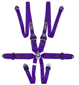 6-Point FHR Race Harness, 3&quot; to 2&quot; Straps (2030) - Purple