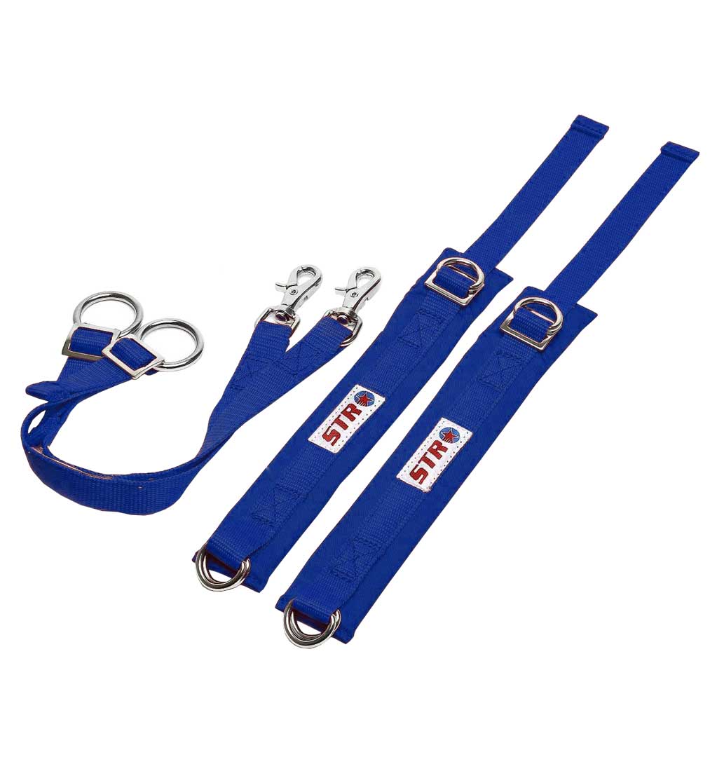 STR SFI Approved Arm Restraints in BLUE